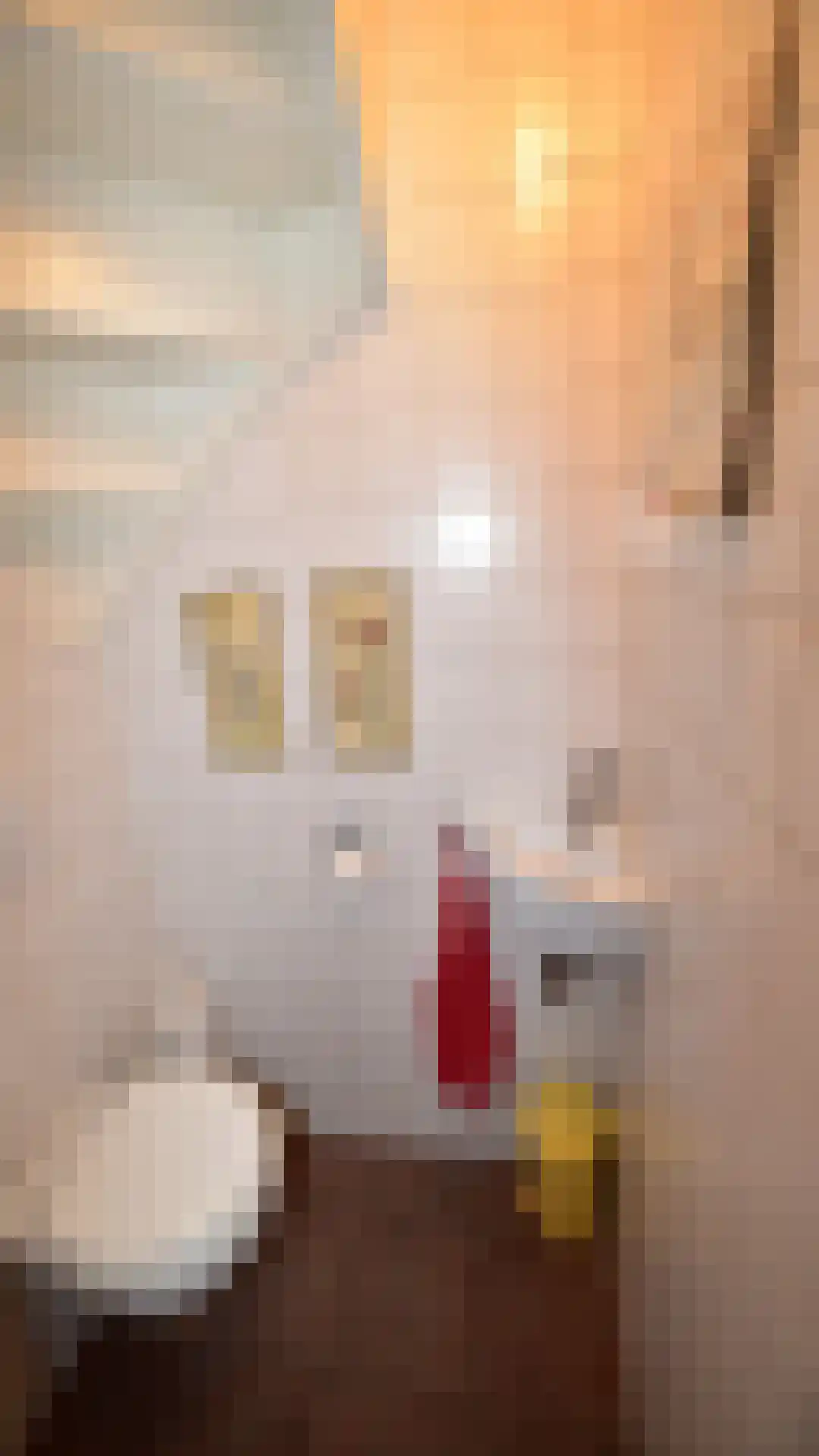 Bussinksweg 5 Bathmen thumbnail 27
