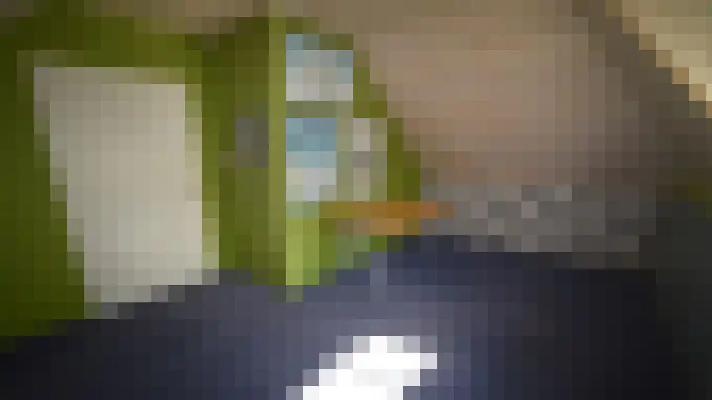 Bussinksweg 5 Bathmen thumbnail 33