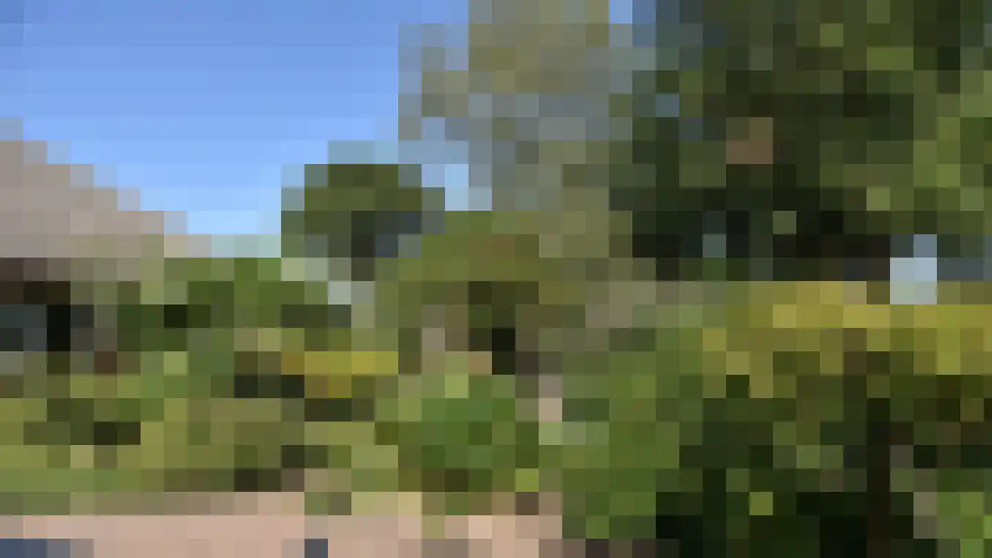 Bussinksweg 5 Bathmen thumbnail 39