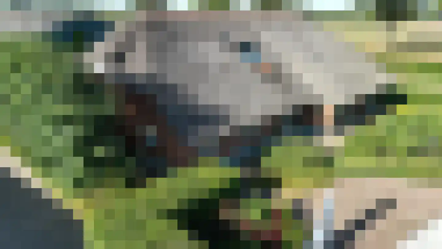 Bussinksweg 5 Bathmen thumbnail 4