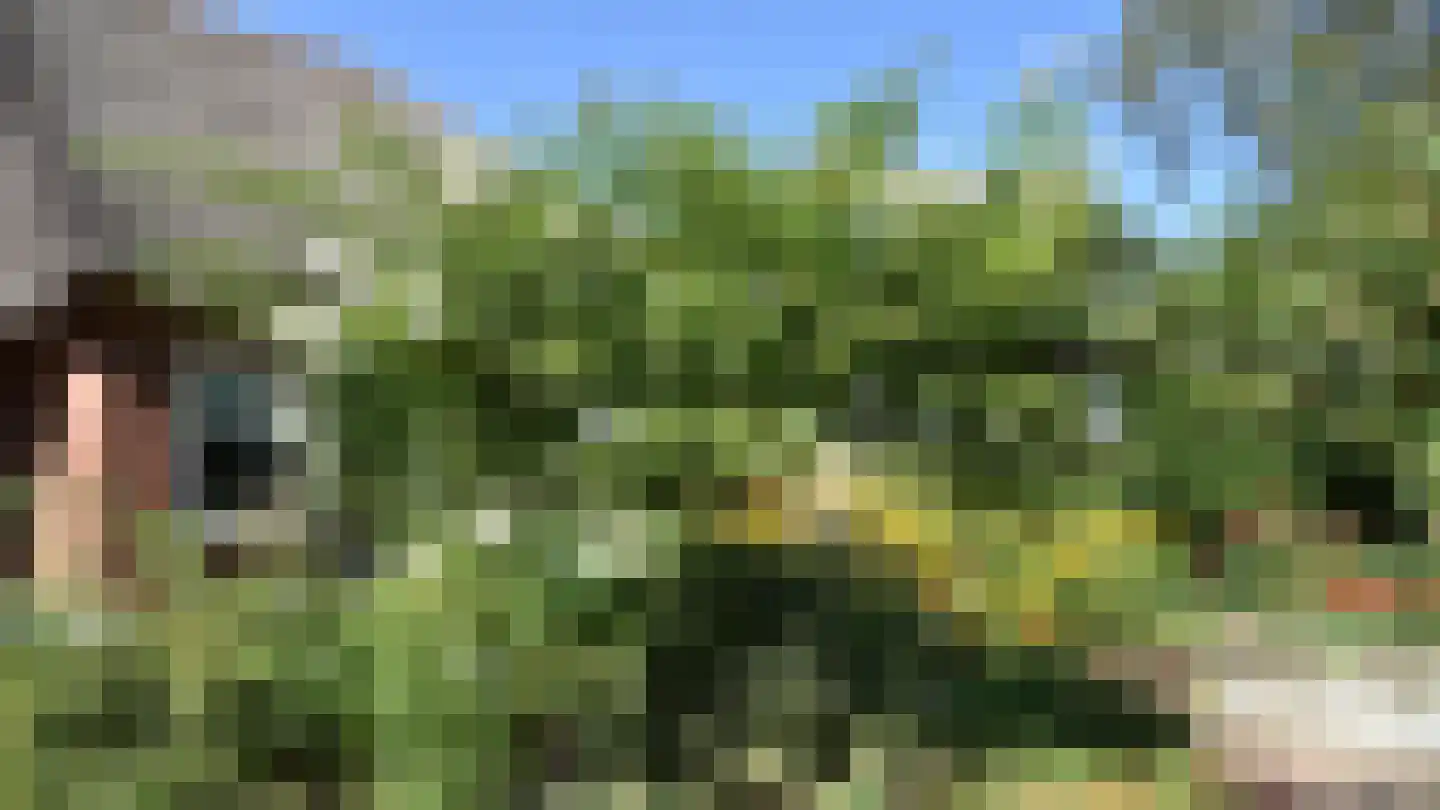 Bussinksweg 5 Bathmen thumbnail 41