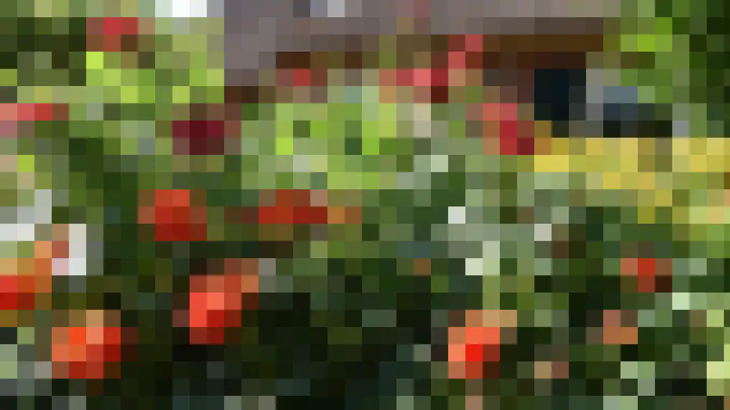 Bussinksweg 5 Bathmen thumbnail 42