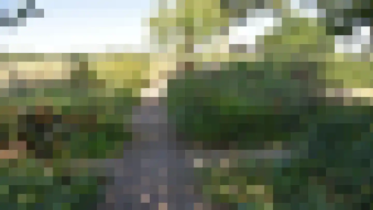 Bussinksweg 5 Bathmen thumbnail 51