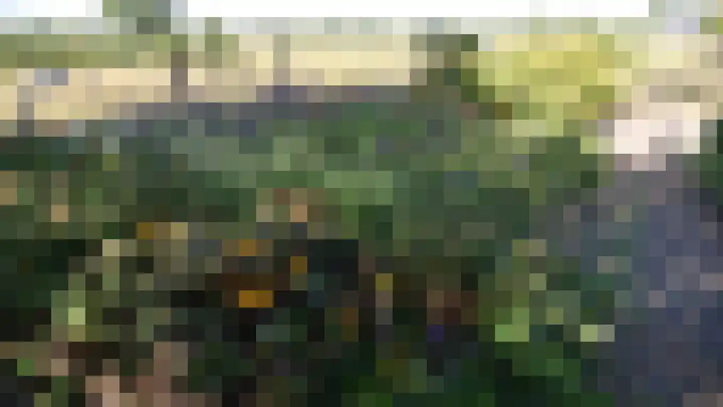 Bussinksweg 5 Bathmen thumbnail 52