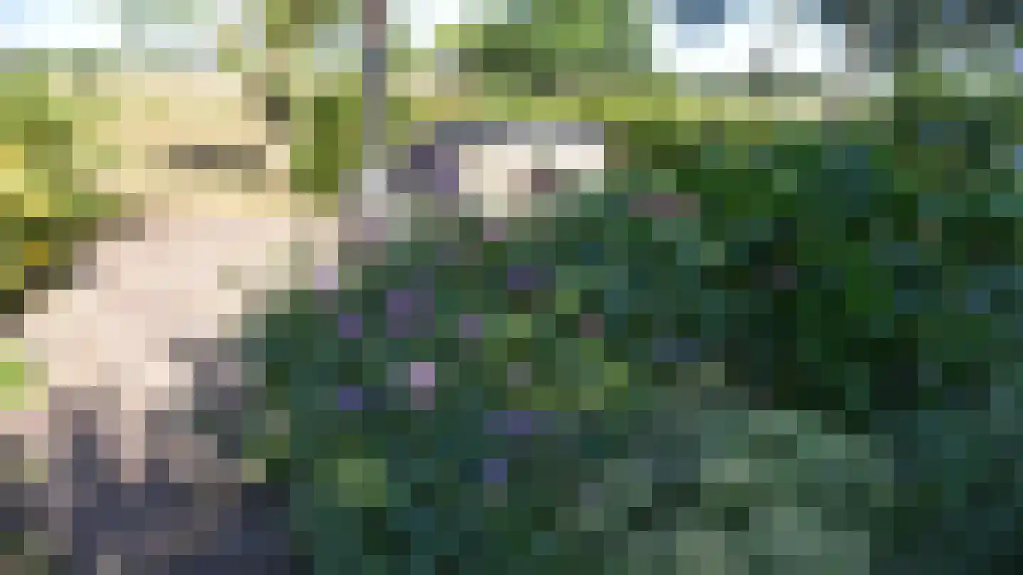 Bussinksweg 5 Bathmen thumbnail 55