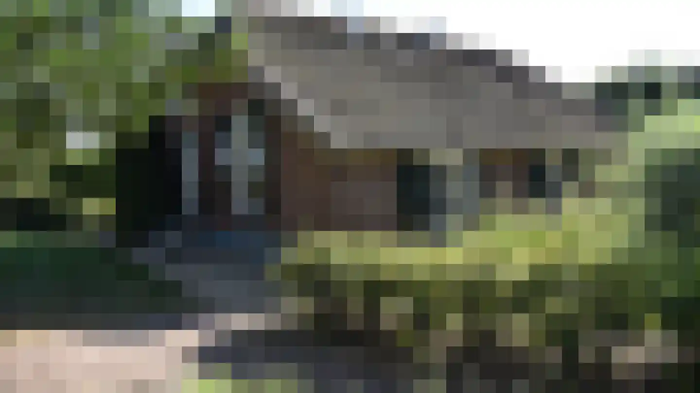 Bussinksweg 5 Bathmen thumbnail 58