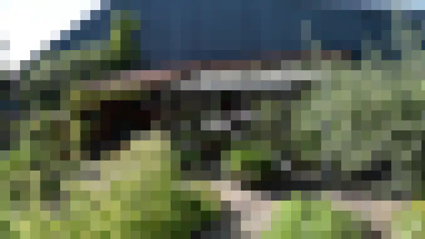 Bussinksweg 5 Bathmen thumbnail 60