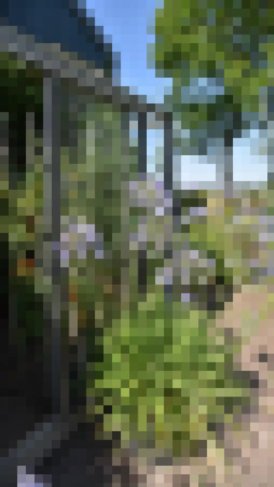 Bussinksweg 5 Bathmen thumbnail 61