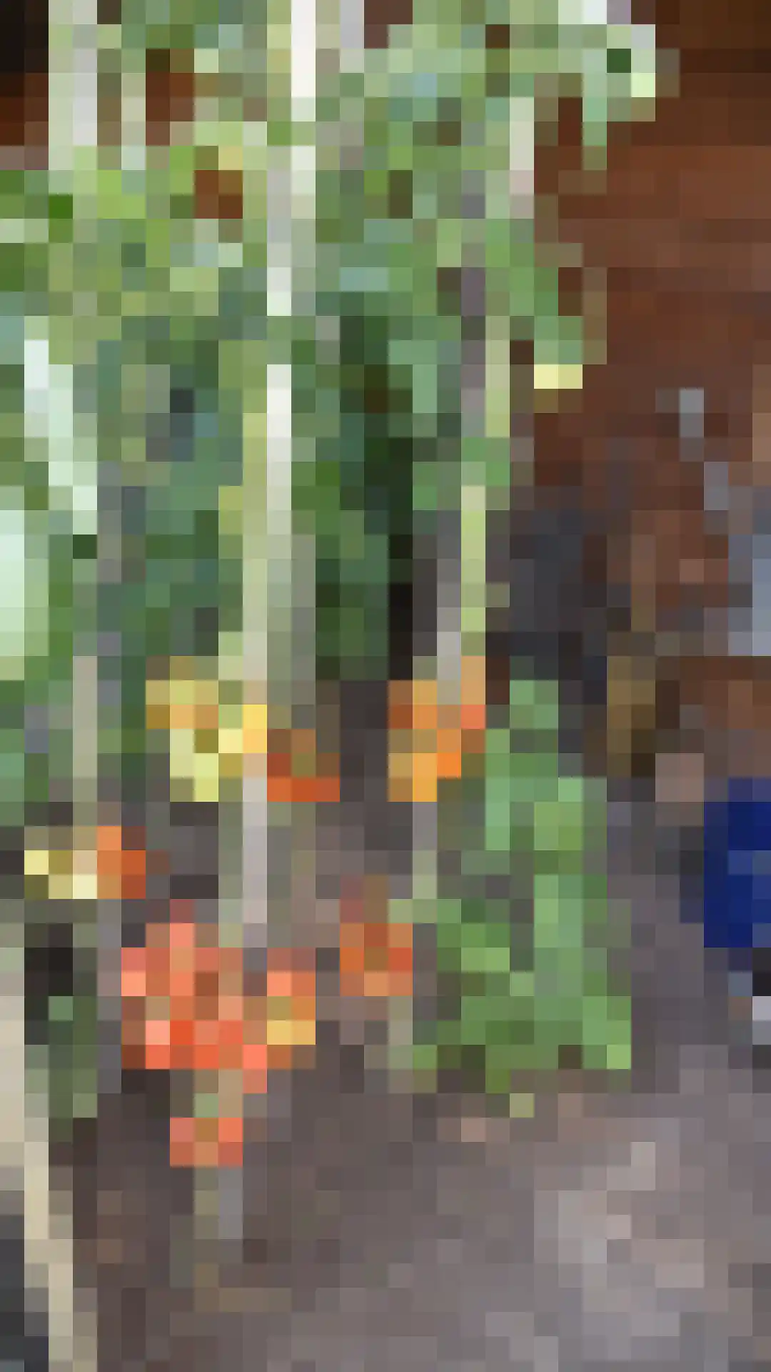 Bussinksweg 5 Bathmen thumbnail 62