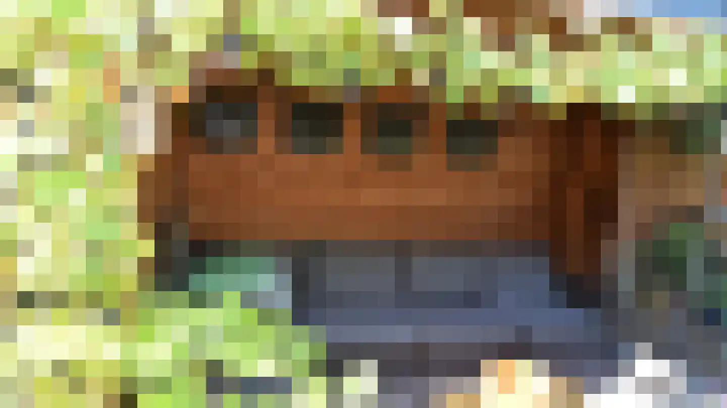 Bussinksweg 5 Bathmen thumbnail 63