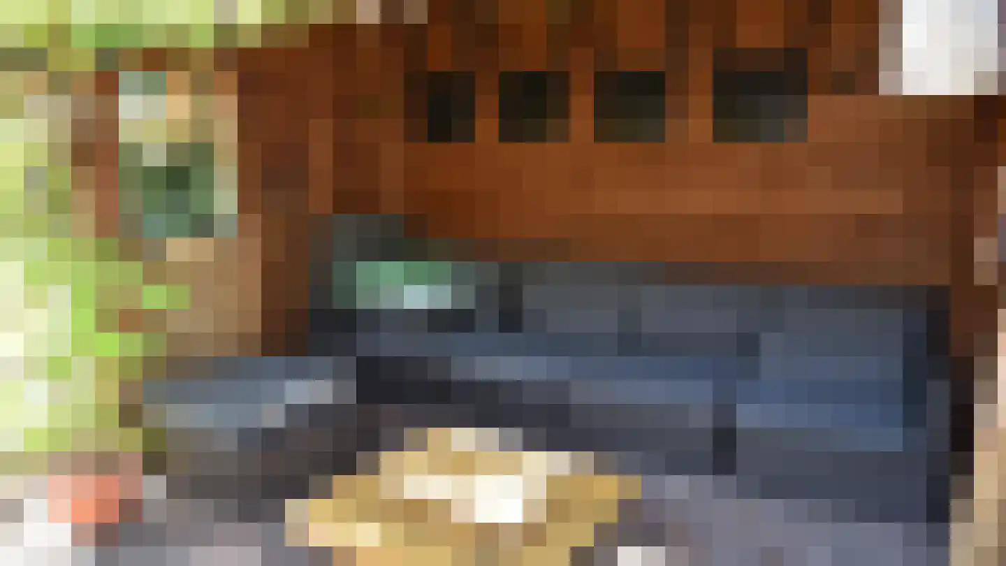 Bussinksweg 5 Bathmen thumbnail 64