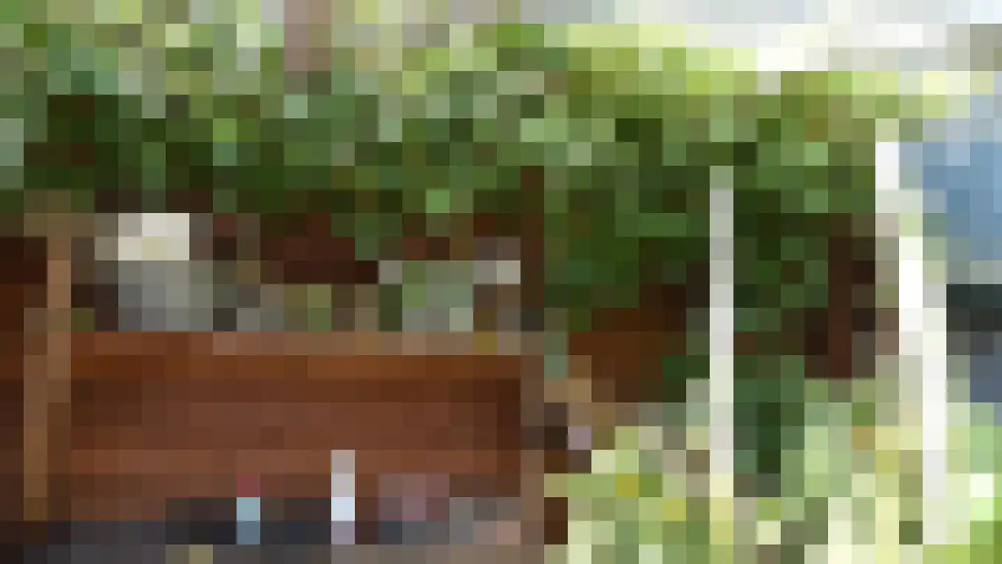 Bussinksweg 5 Bathmen thumbnail 65