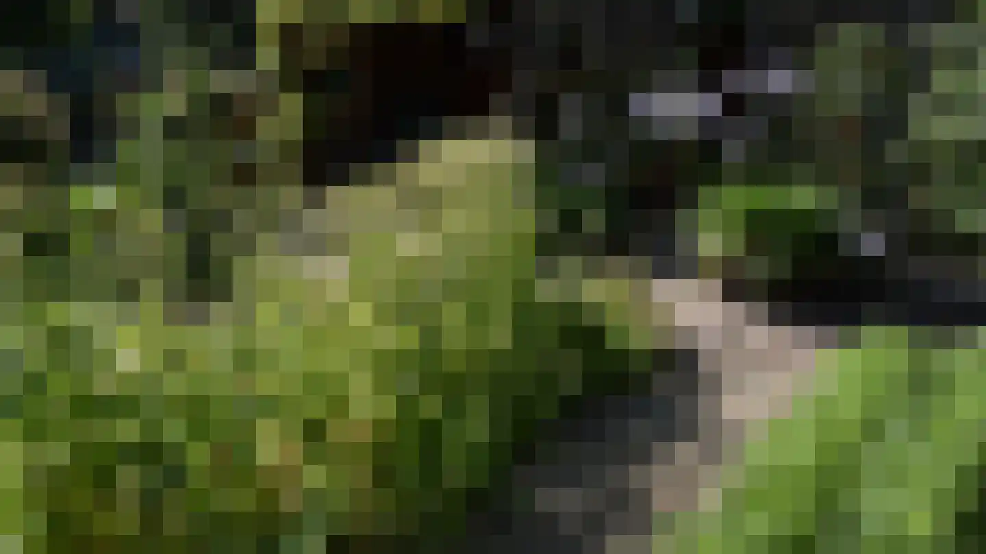 Bussinksweg 5 Bathmen thumbnail 66