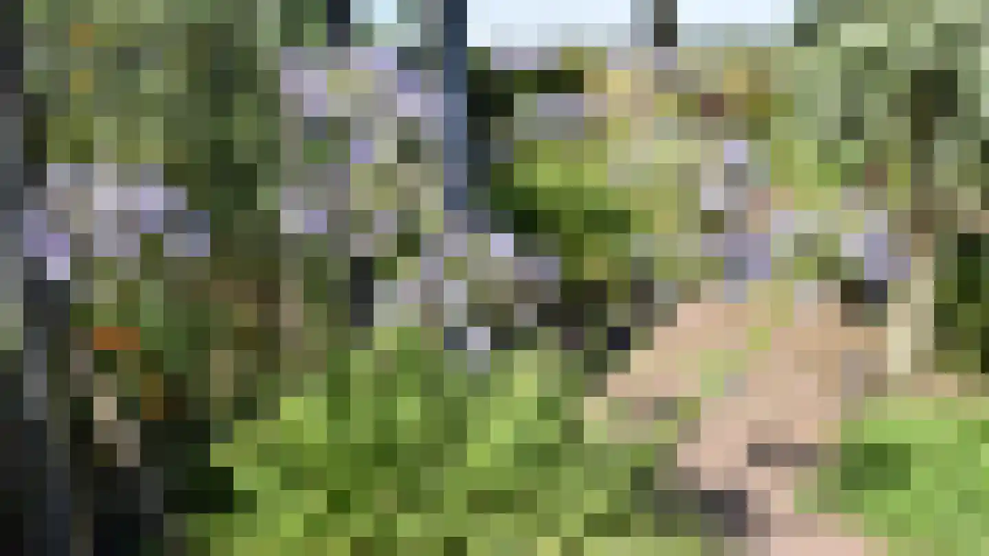 Bussinksweg 5 Bathmen thumbnail 67