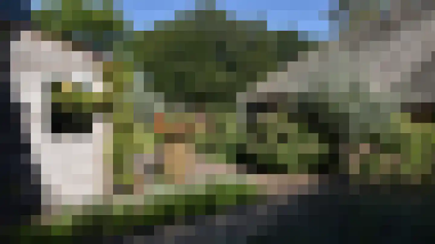 Bussinksweg 5 Bathmen thumbnail 69