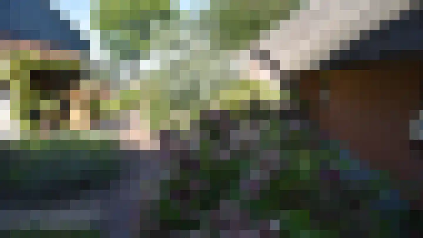 Bussinksweg 5 Bathmen thumbnail 70