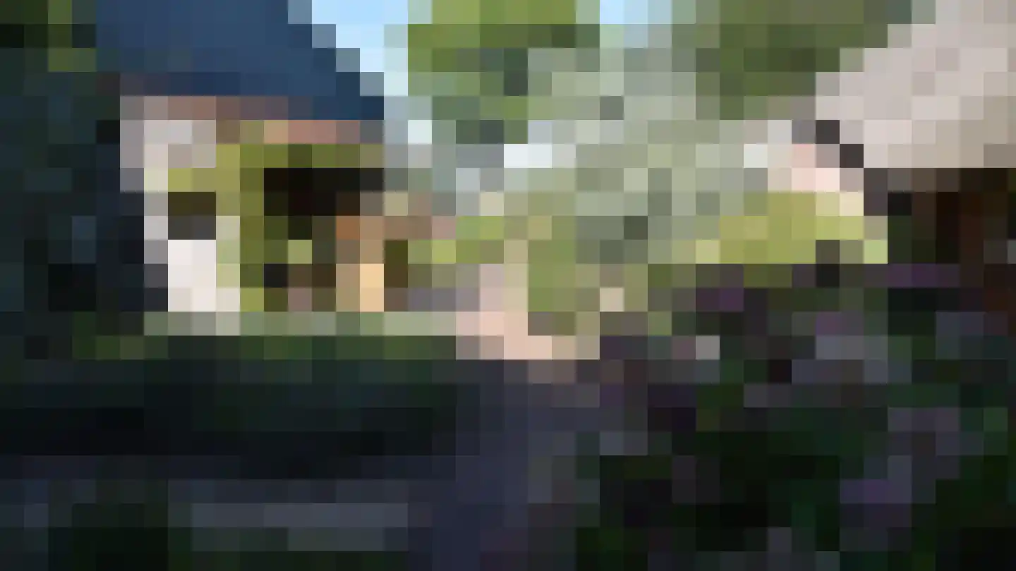 Bussinksweg 5 Bathmen thumbnail 71