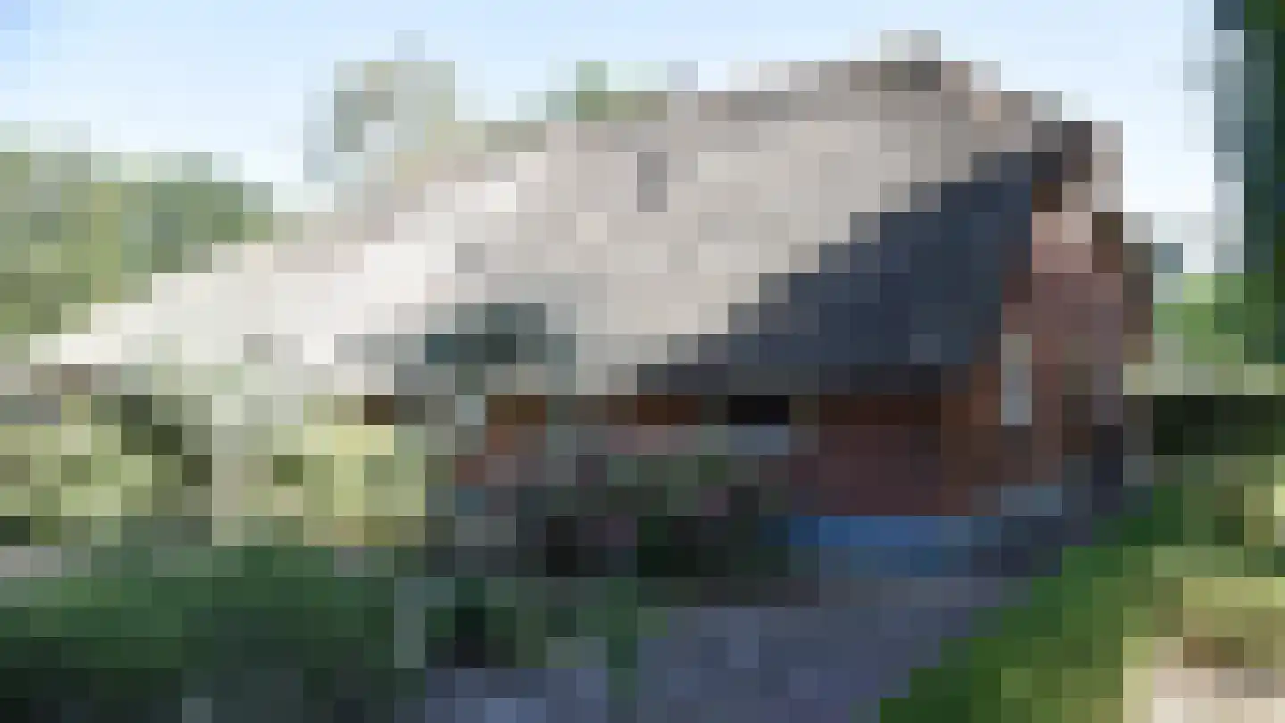 Bussinksweg 5 Bathmen thumbnail 72