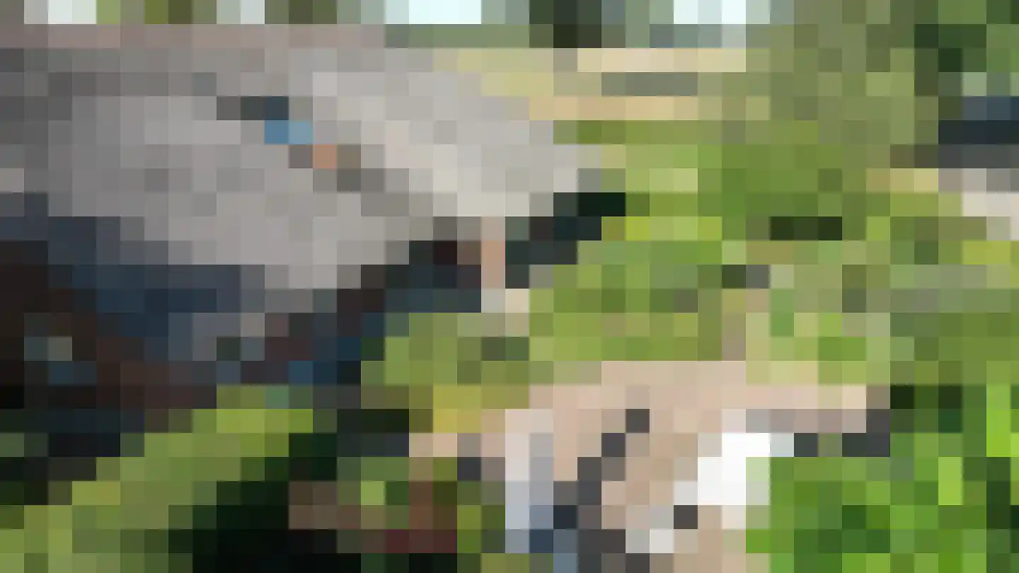 Bussinksweg 5 Bathmen thumbnail 79