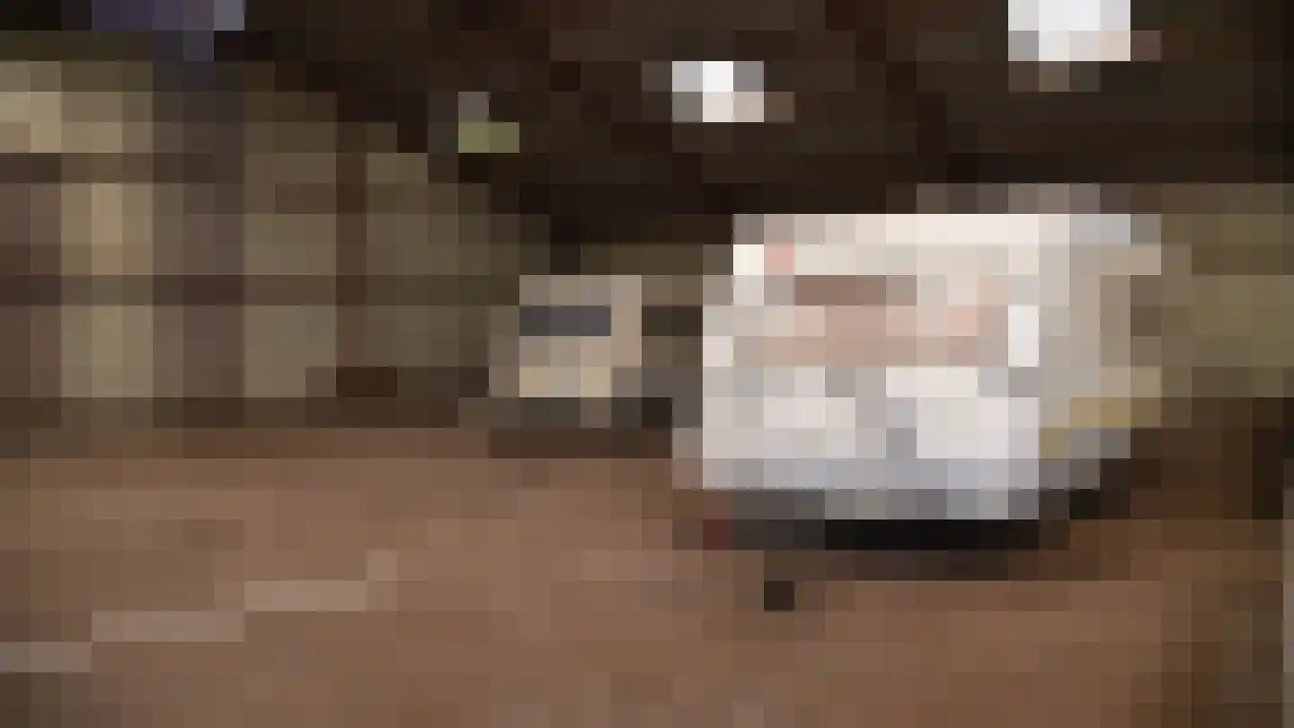 Bussinksweg 5 Bathmen thumbnail 86
