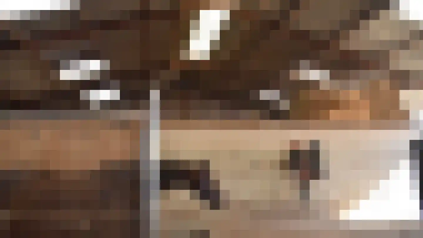 Bussinksweg 5 Bathmen thumbnail 91