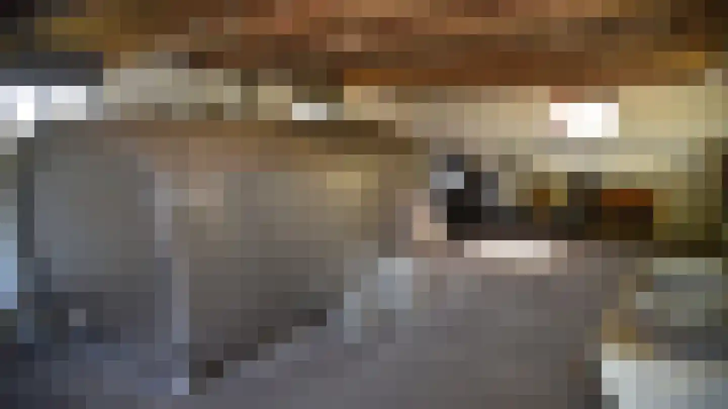 Bussinksweg 5 Bathmen thumbnail 94
