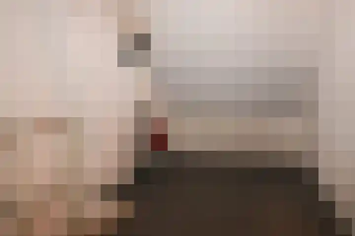 Busstraat 5 Veghel thumbnail 22