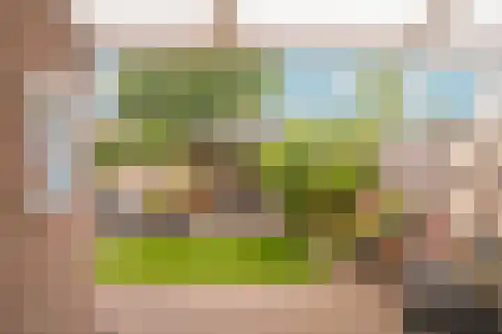 Busstraat 5 Veghel thumbnail 30