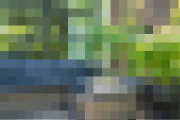 Bussumergrintweg 23 B Hilversum thumbnail 10