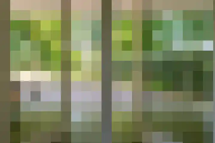 Bussumergrintweg 23 B Hilversum thumbnail 22