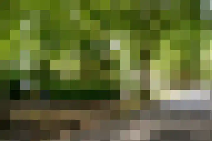 Bussumergrintweg 23 B Hilversum thumbnail 30