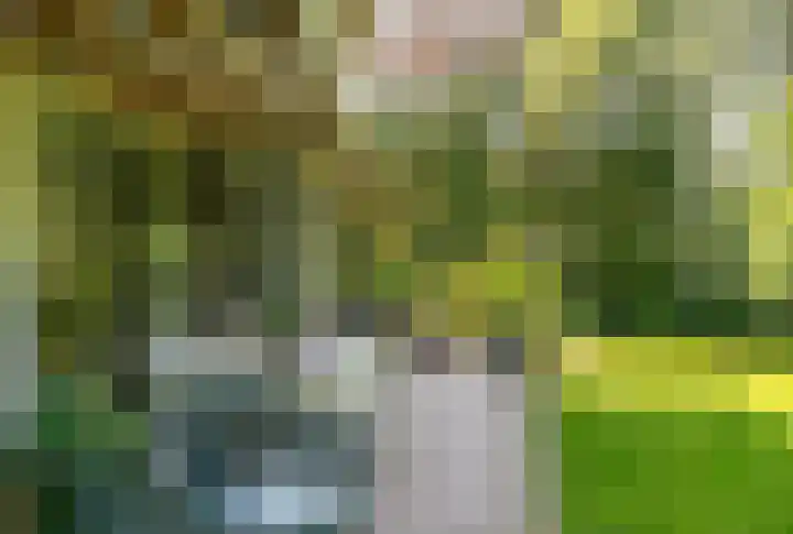 Bussumergrintweg 23 B Hilversum thumbnail 7