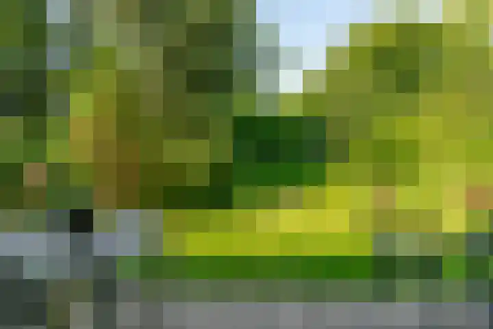Bussumergrintweg 23 B Hilversum thumbnail 8