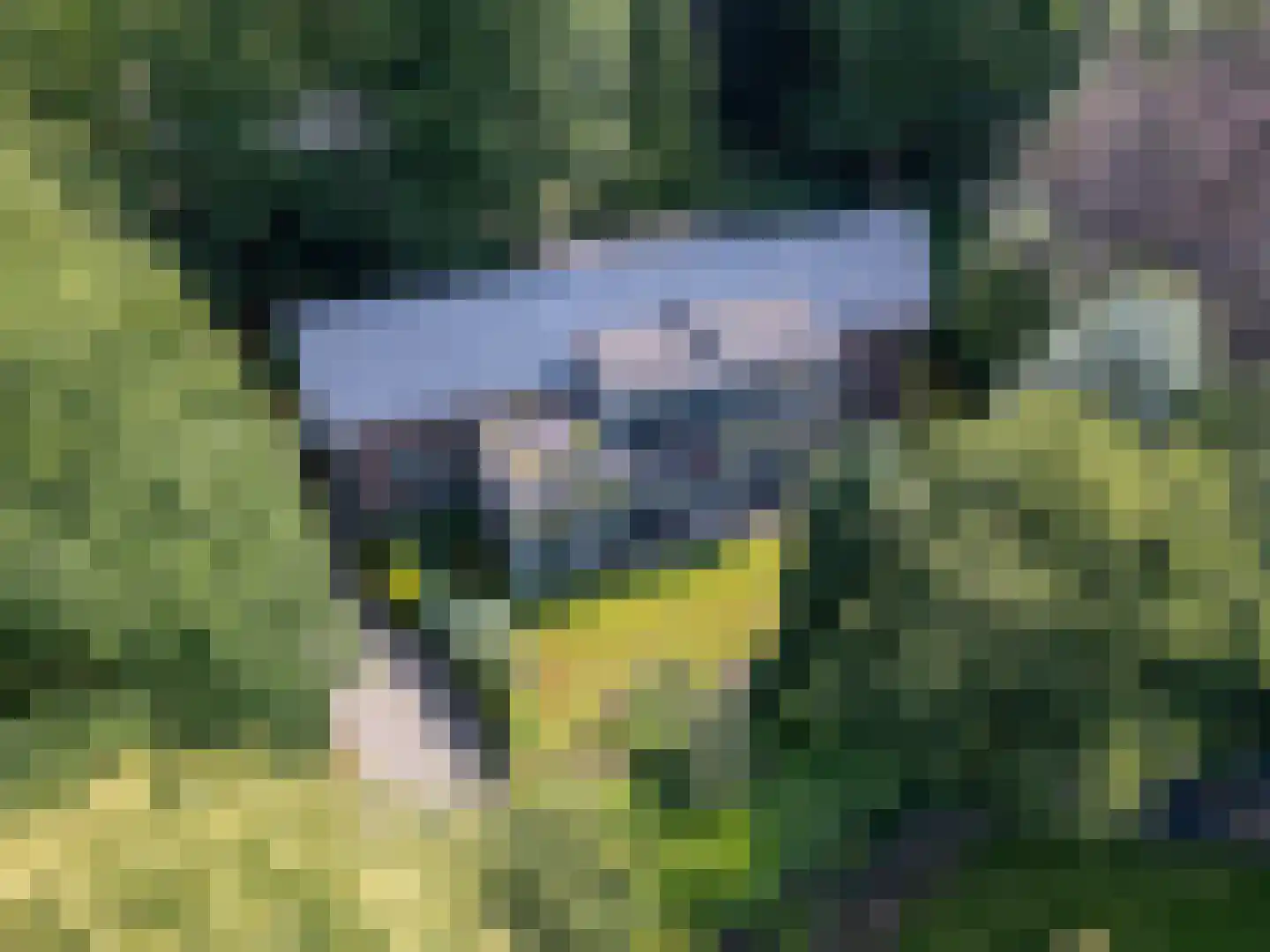 Bussumergrintweg 23 C Hilversum thumbnail 29