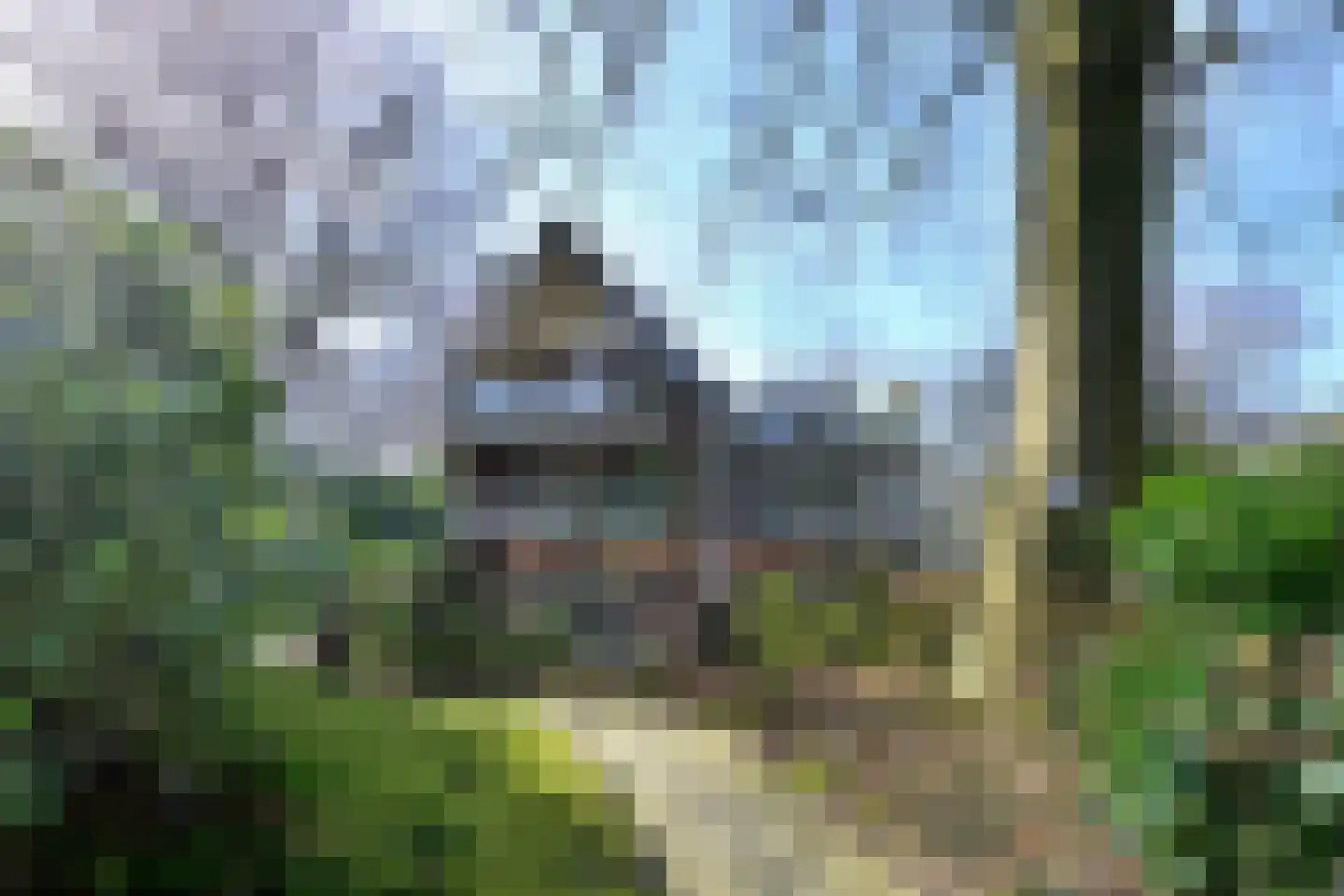 Bussumergrintweg 23 D Hilversum thumbnail 23