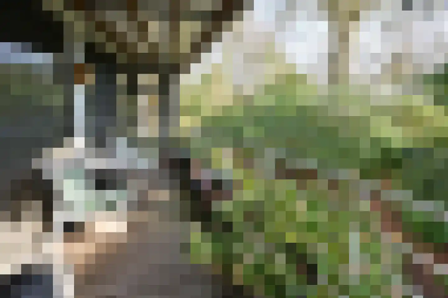 Bussumergrintweg 23 D Hilversum thumbnail 25
