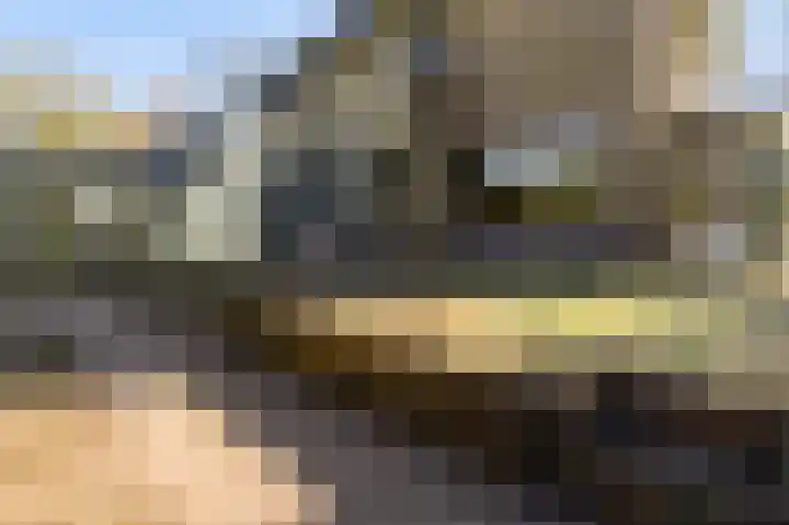 Bussumergrintweg 3 A Hilversum thumbnail 10
