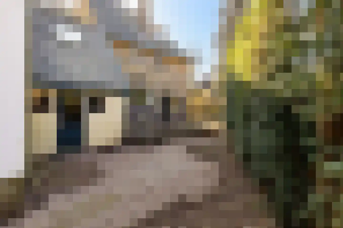 Bussumergrintweg 3 A Hilversum thumbnail 9