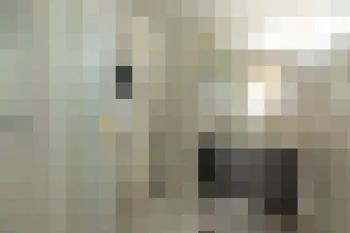 Bussumerstraat 24 L Hilversum thumbnail 22