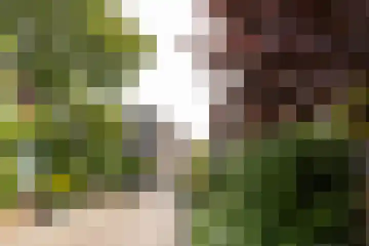 Bussumerstraat 24 L Hilversum thumbnail 6
