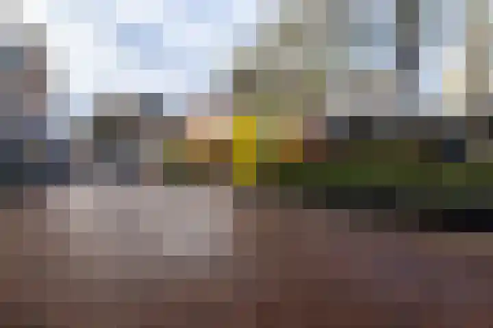 Bussumerstraat 44 G Hilversum thumbnail 23