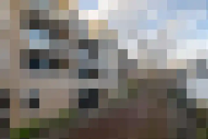 Bussumerstraat 44 G Hilversum thumbnail 24