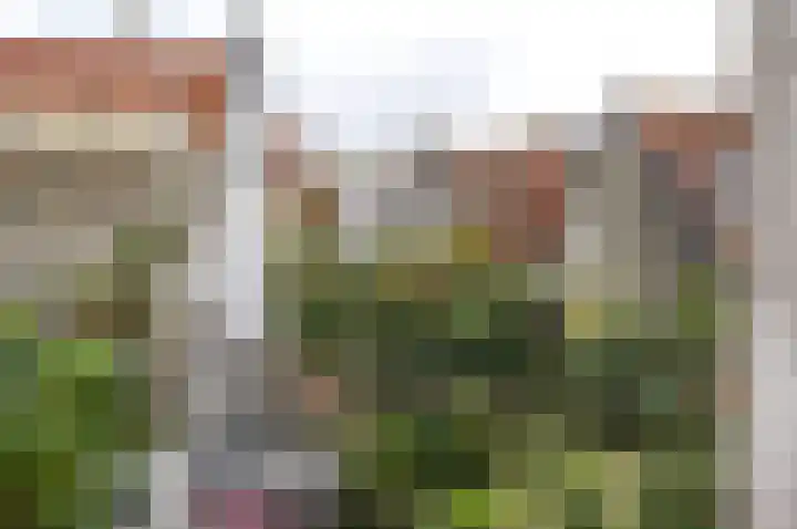 Bussummerstraat 17 A Naarden thumbnail 25