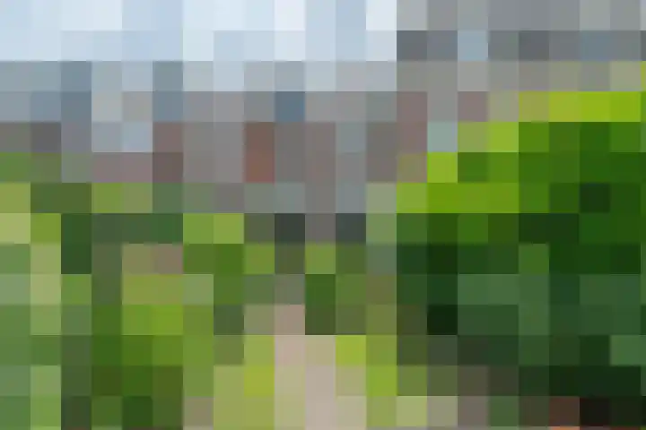 Bussummerstraat 32 A Naarden thumbnail 37