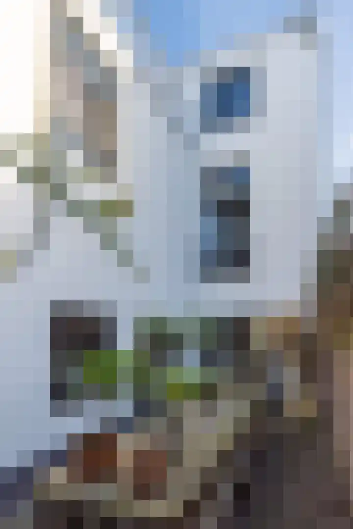 Bussummerstraat 58 Naarden thumbnail 33