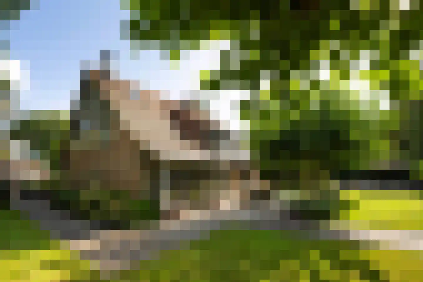 Bussummerweg 7 a Blaricum thumbnail 35