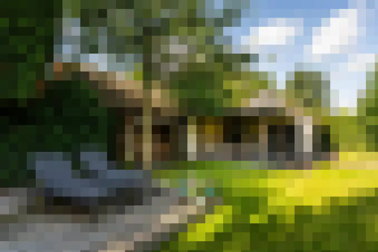 Bussummerweg 7 a Blaricum thumbnail 36