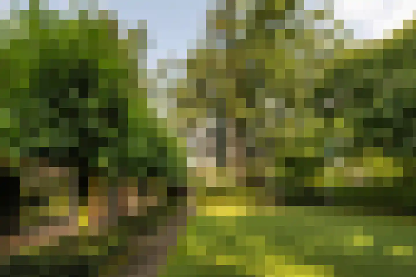 Bussummerweg 7 a Blaricum thumbnail 45