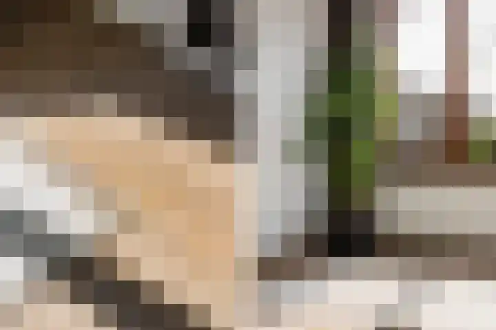Bussumsestraat 1 Den Haag thumbnail 5