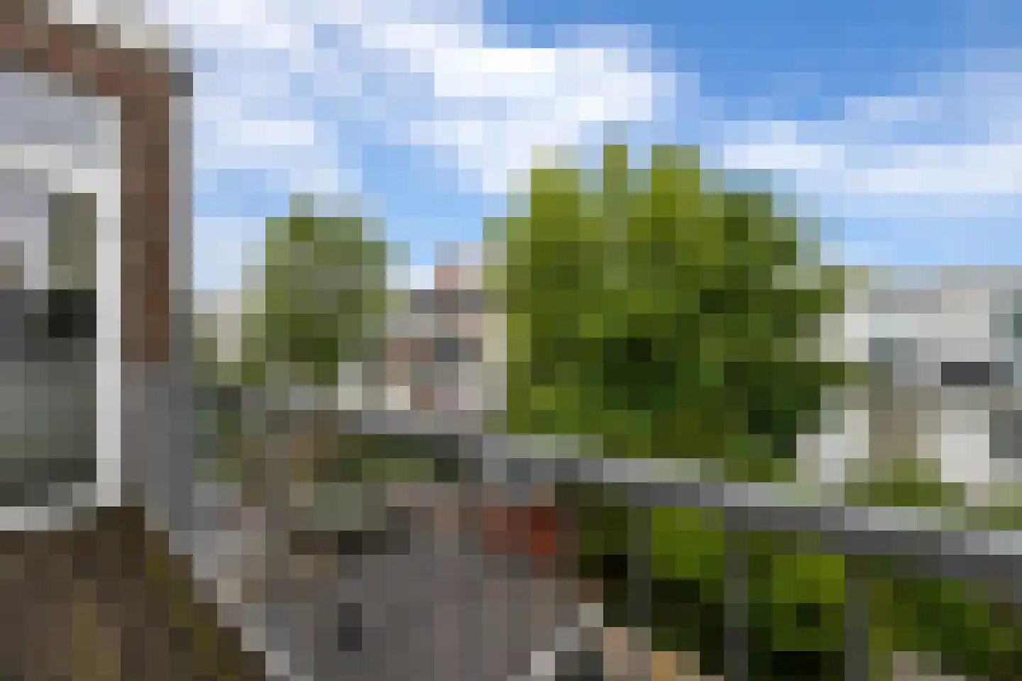 Bussumsestraat 177 Den Haag thumbnail 14